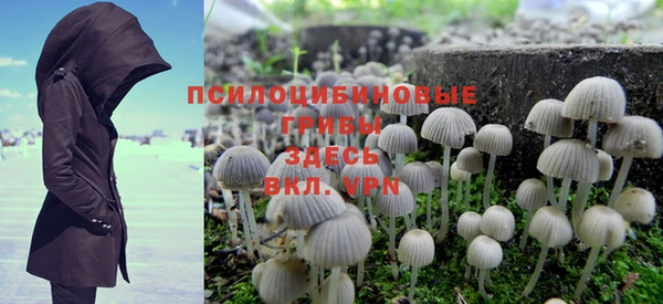 экстази Кукмор