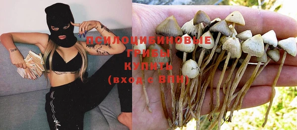 экстази Кукмор