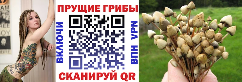 Псилоцибиновые грибы ЛСД  Купить  Бабаево 