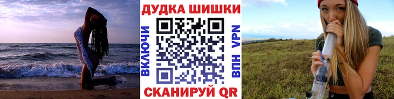 Купить  Бабаево  Бошки марихуана ГИДРОПОН 